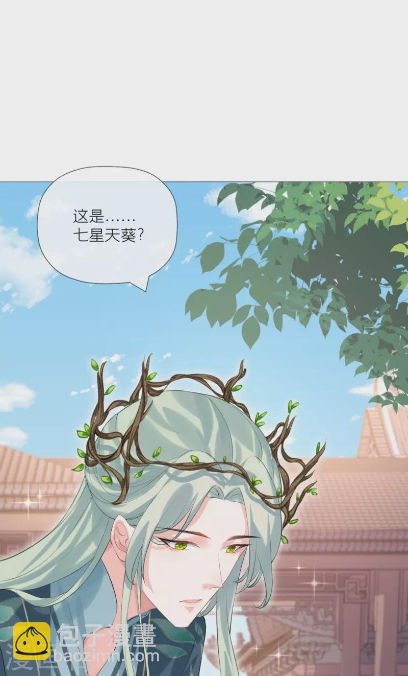 第34话 在逃森林王子