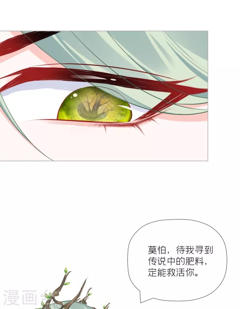 第35话 含情脉脉大特训