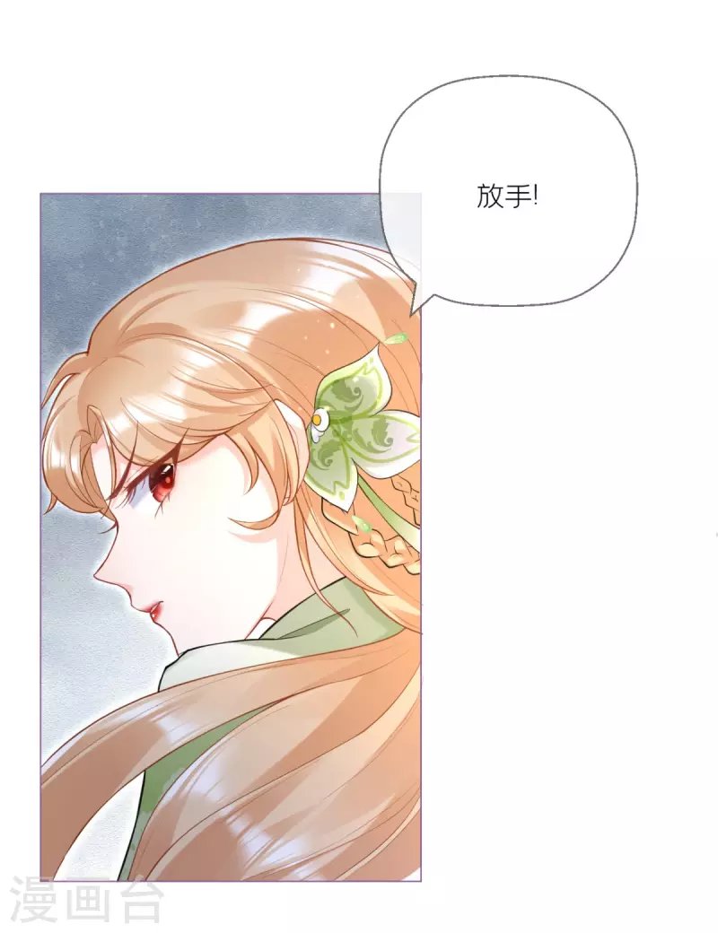 第6话 梁上公子