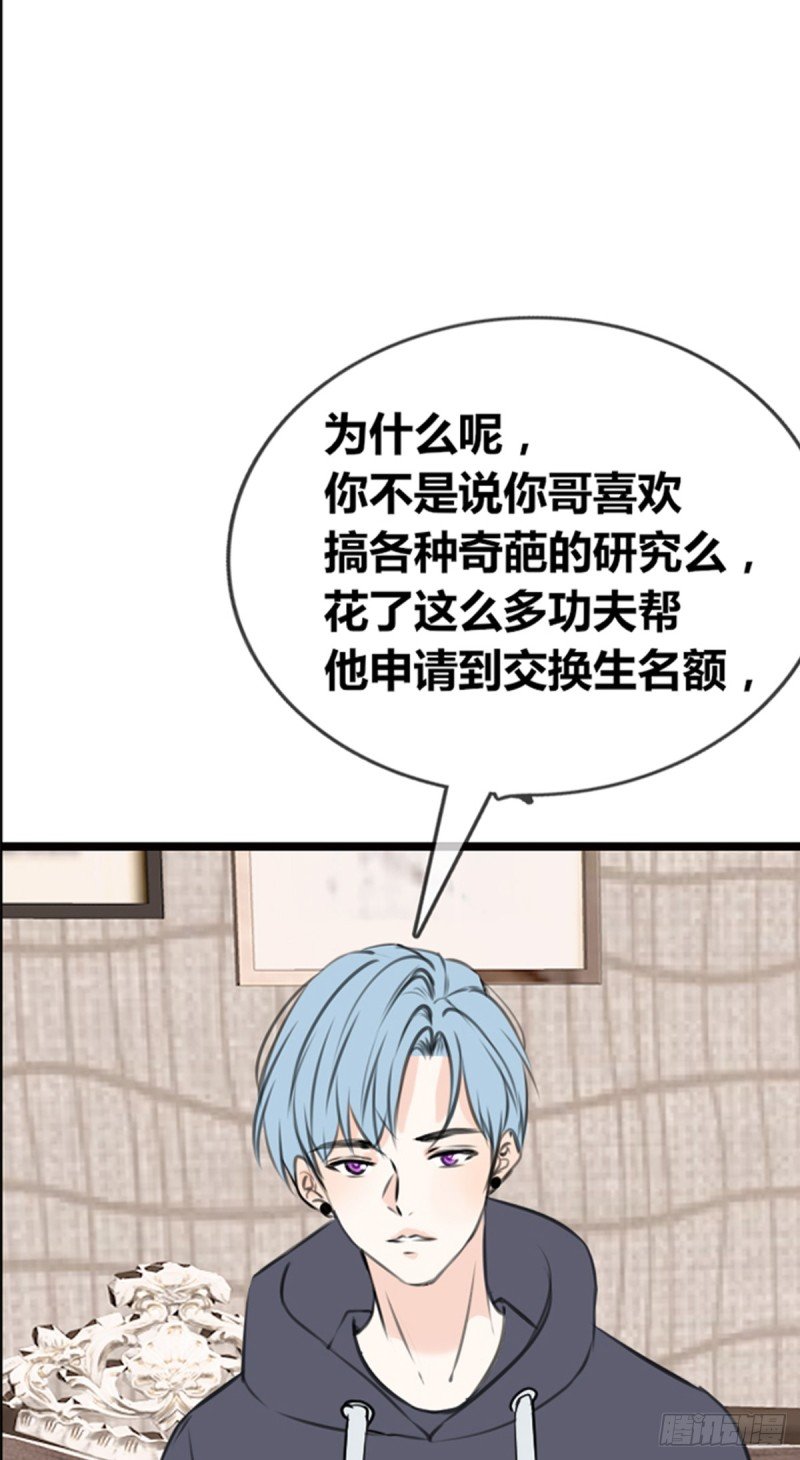傻哥