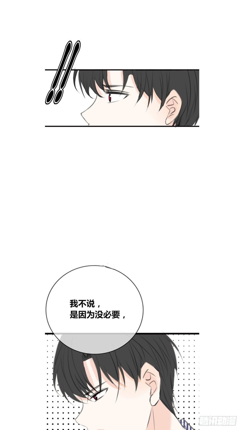 不容置疑的告白