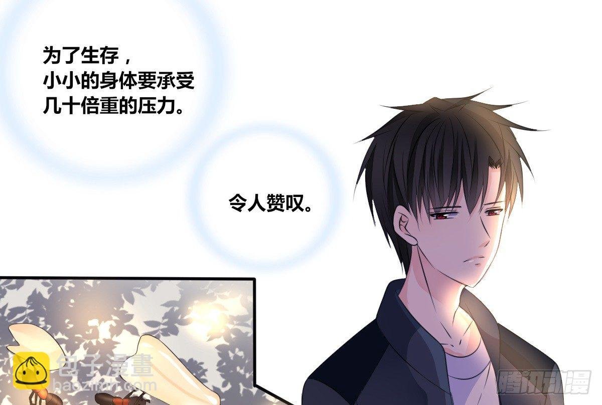 零灵是谁？