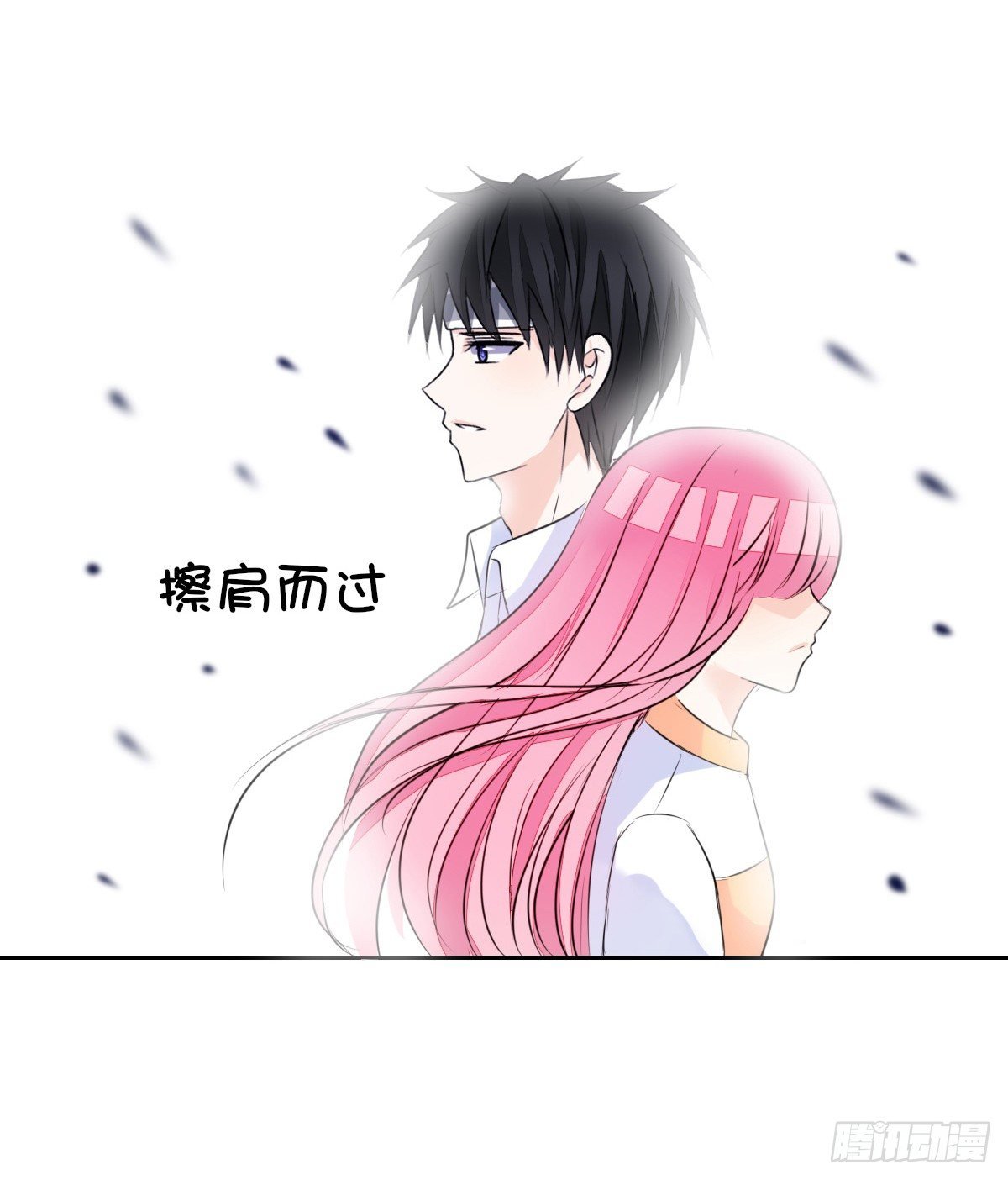 没见过这么蠢的....