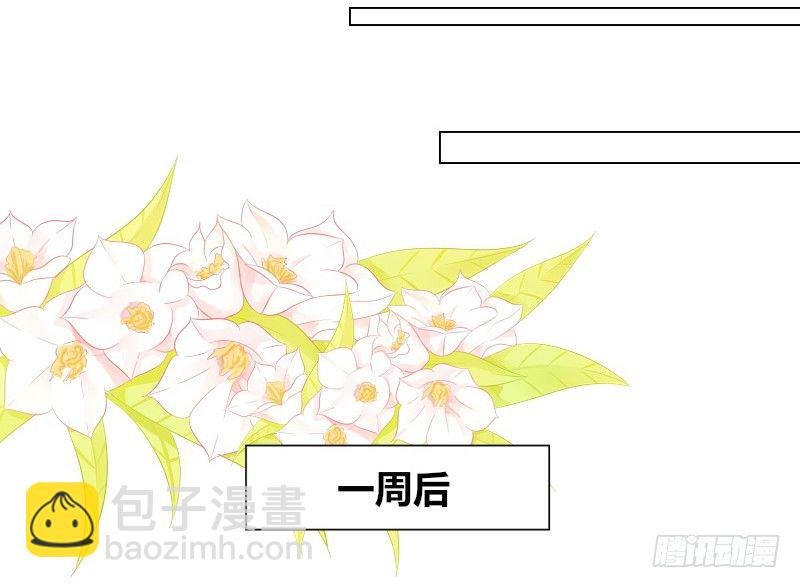 这副身体...和他有什么关系？