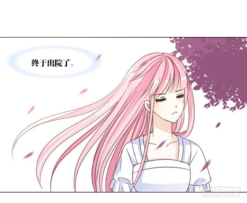 这副身体...和他有什么关系？