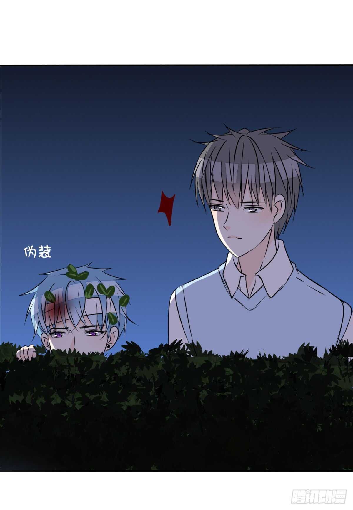 两个哥哥