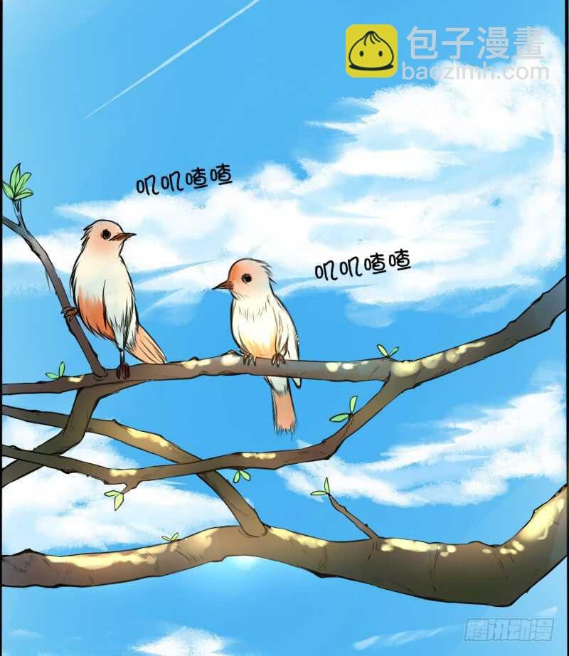 没有灵魂的外貌