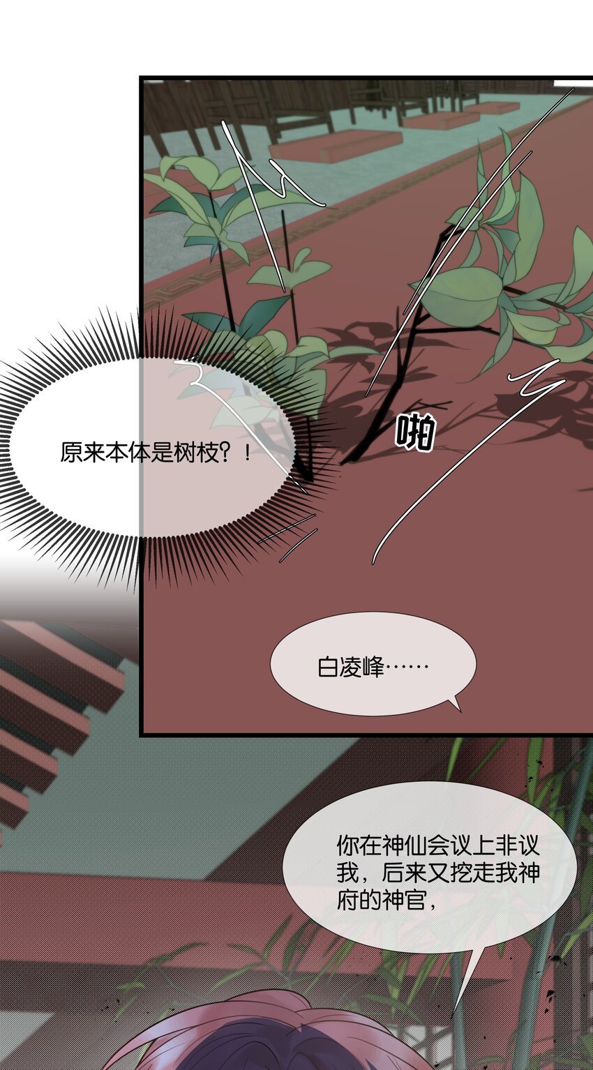 第36话 白老大的家