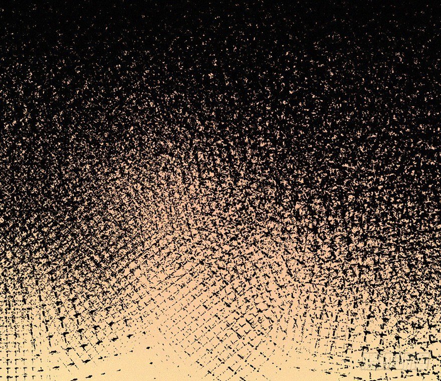 壬组