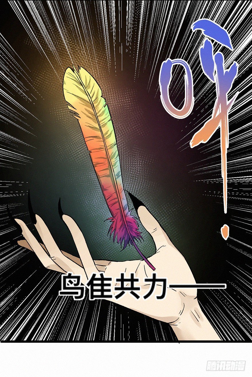 百鸟
