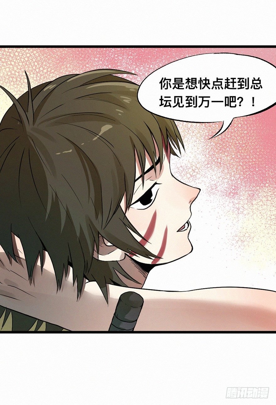 百鸟
