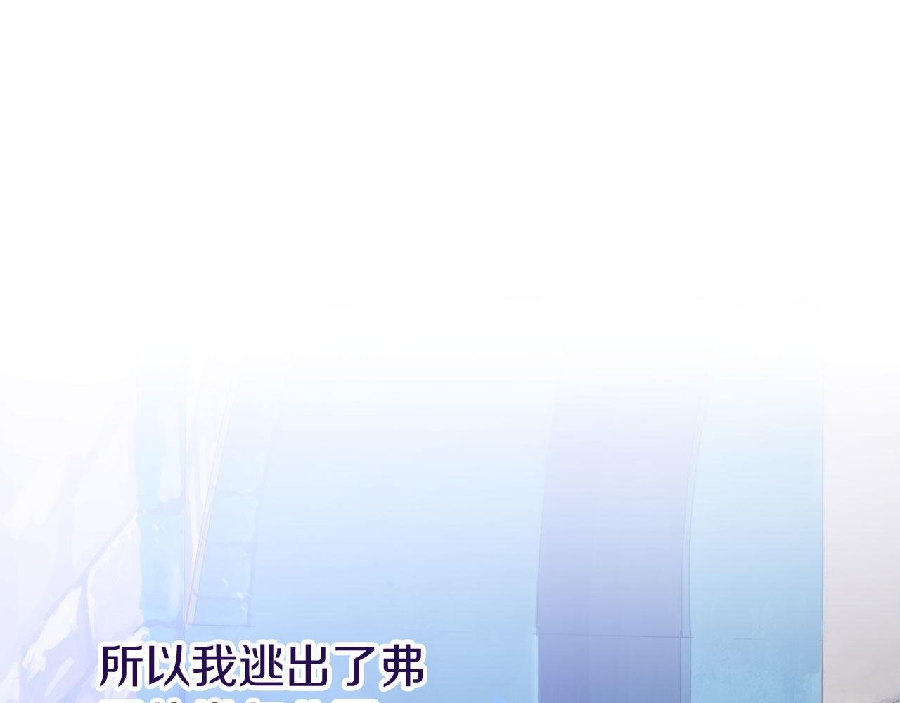 第41话 我的错误