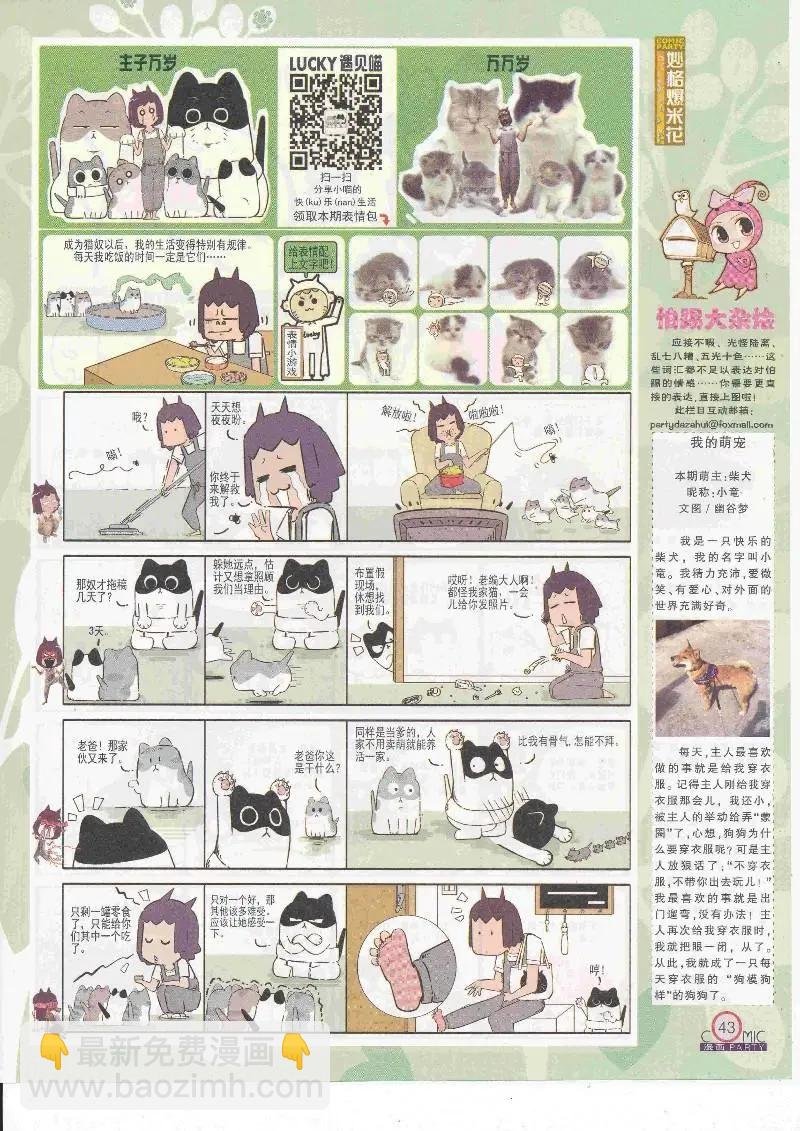 第264期全本