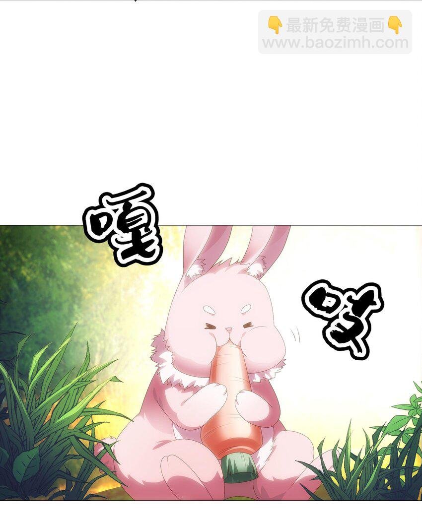003 诸葛果与预言