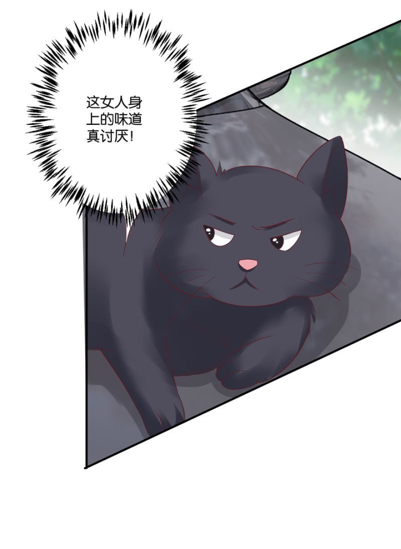 第43话（下）