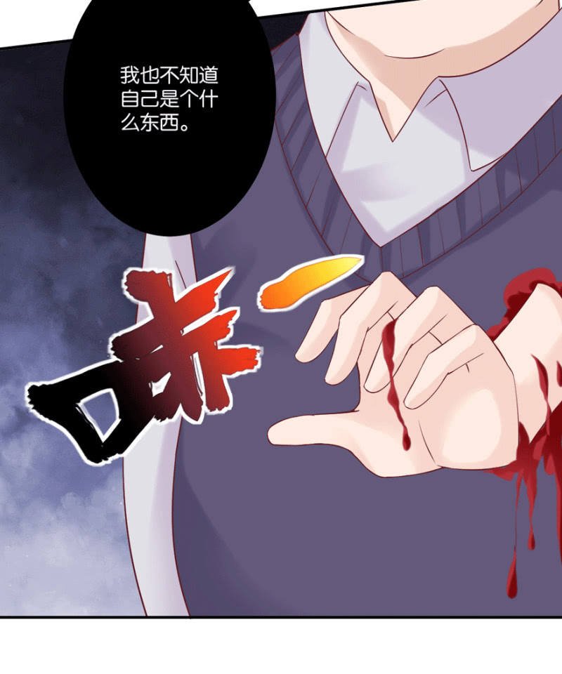 第44话（上）
