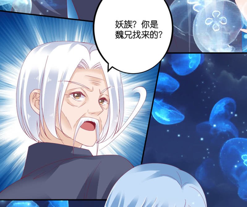 第66话（下）