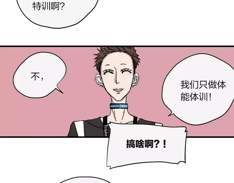 第11话 新手培训指南