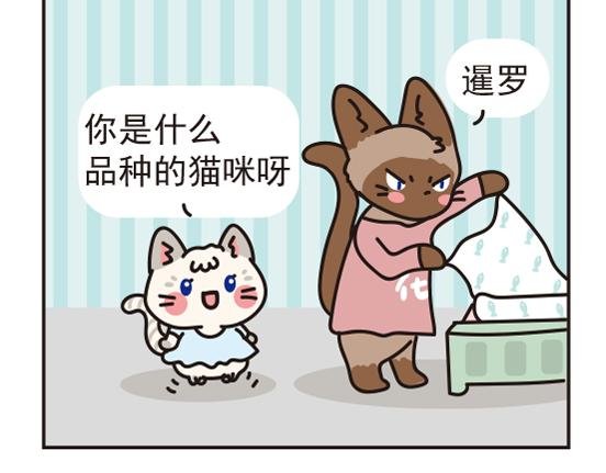 煤窑篇系列一