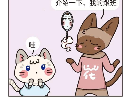 魔镜篇系列二