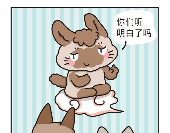 魔镜篇系列四&婚礼篇系列一