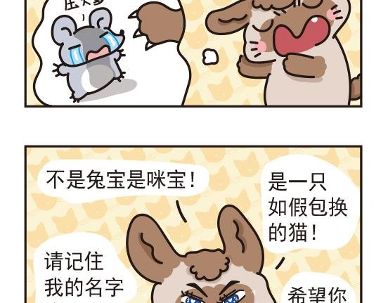 魔镜篇系列四&婚礼篇系列一