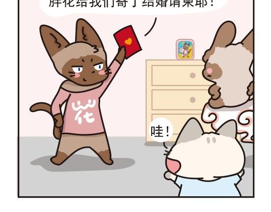 魔镜篇系列四&婚礼篇系列一