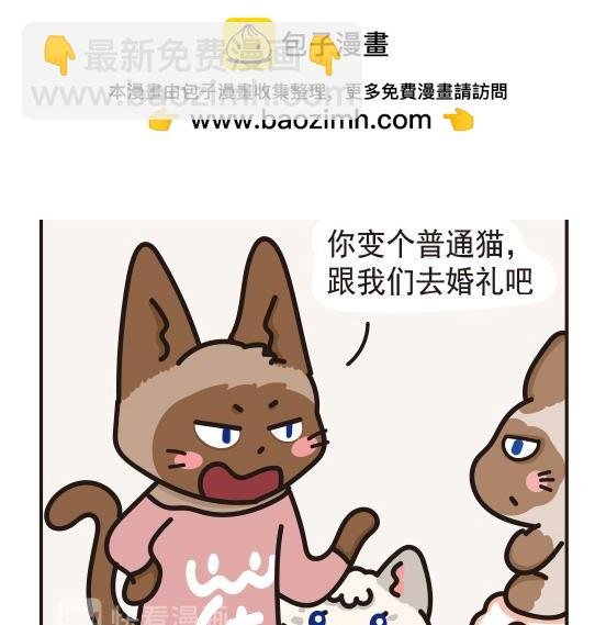 婚礼篇系列二