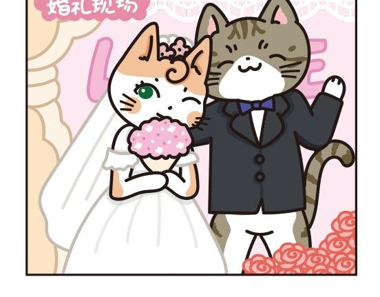 婚礼篇系列二