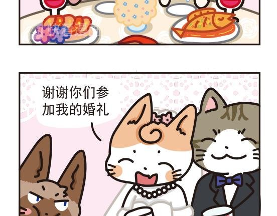 婚礼篇系列二
