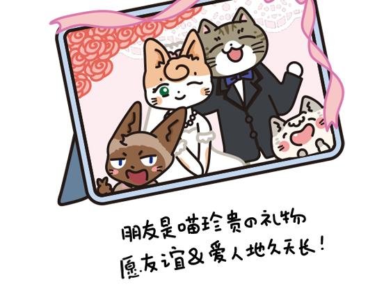 婚礼篇系列二