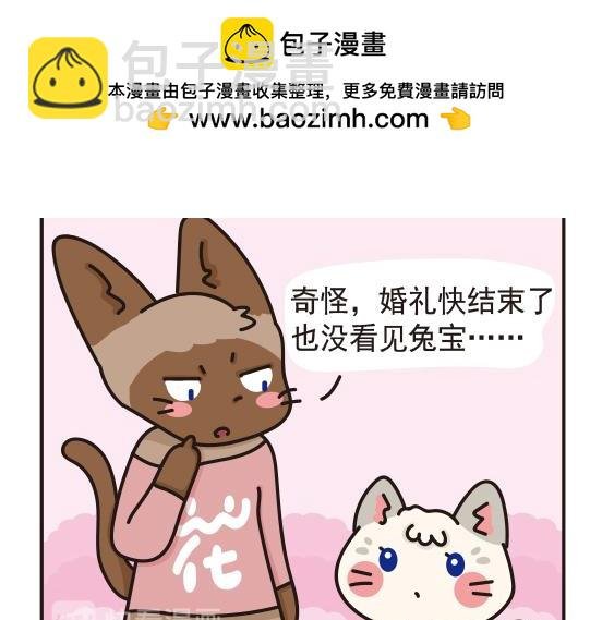 婚礼篇系列三