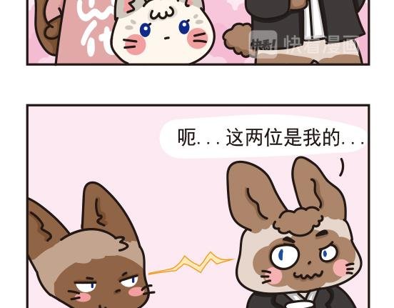 婚礼篇系列三