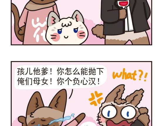 婚礼篇系列三
