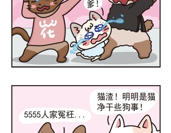 婚礼篇系列三