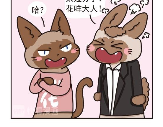 婚礼篇系列三