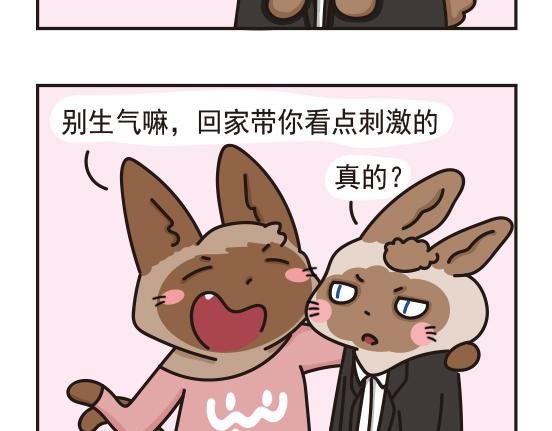 婚礼篇系列三