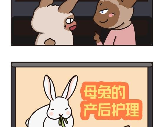 婚礼篇系列三