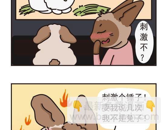 婚礼篇系列三