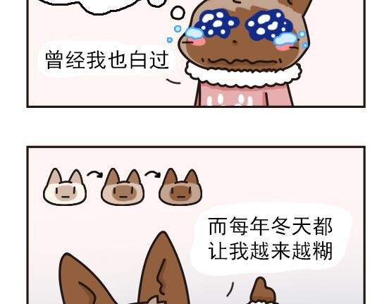 冬天篇系列一
