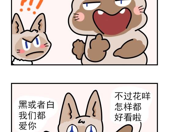 冬天篇系列一