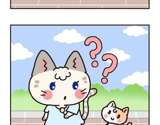 猫崽篇系列一
