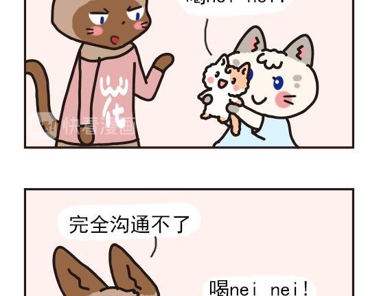 猫崽篇系列一