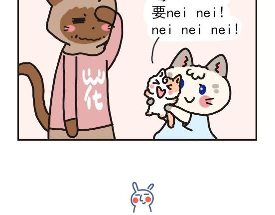 猫崽篇系列一