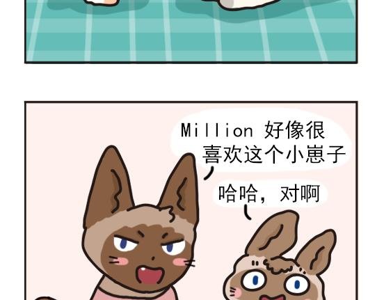 猫崽篇系列一