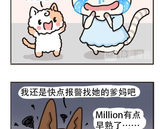猫崽篇系列一