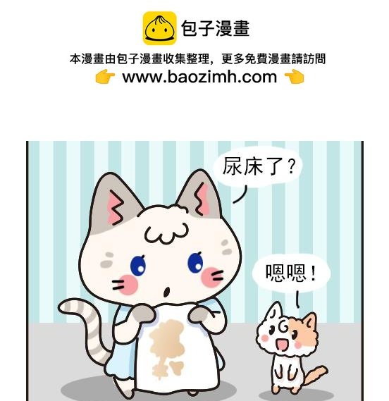 猫崽篇系列二