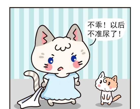 猫崽篇系列二