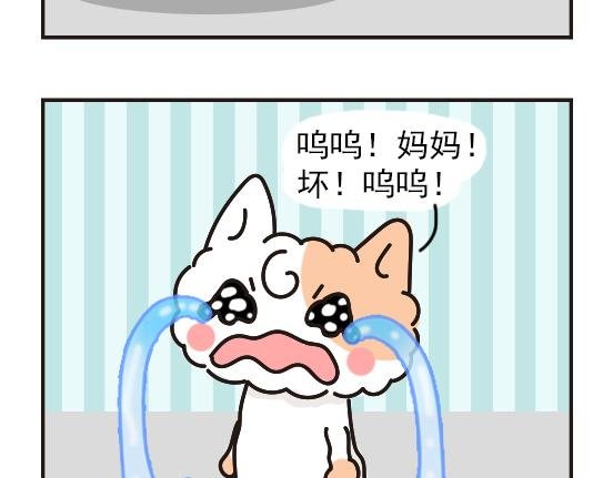 猫崽篇系列二