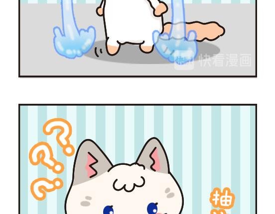 猫崽篇系列二